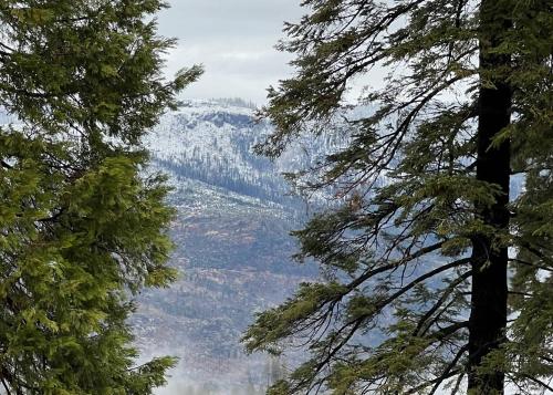 ヨセミテ・ウェストにあるYosemite Aviary - Bird's Eye View Awesome Upper Unitの二本の木の間から山の景色