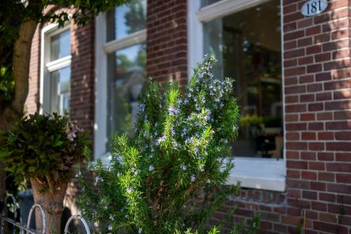 a window of a brick house with flowers in front of it at Your own floor in authentic picturesque dikehouse - dijkhuis181 in Amsterdam