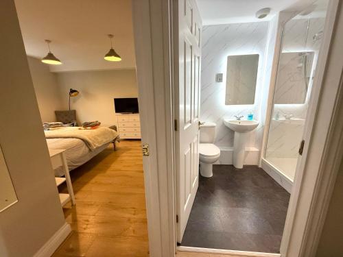 a bathroom with a sink and a toilet and a bed at Apartment with Swimming Pool in Tenby