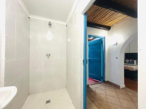 a bathroom with a sink and a blue door at Executive Accommodation Bellville 2 in Cape Town