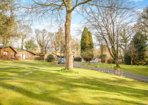 un cortile con un albero nell'erba di Ruthern Valley Holidays a Lanivet