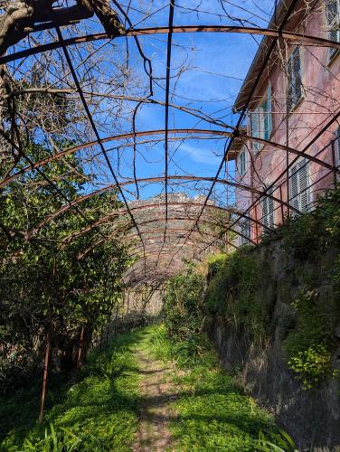Maison de famille entre mer & collines - Charme, citronniers et tranquillité - accès marche et sentier 3 min