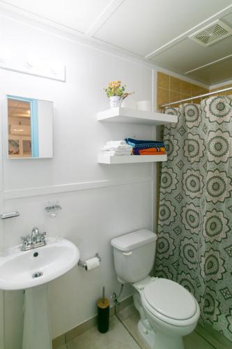 a bathroom with a toilet and a sink at Candyland Cabanas in Bocas Town
