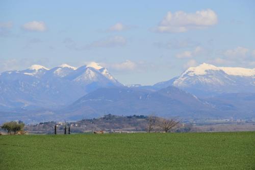 a green field with snow capped mountains in the background at Maison Les Chênes - Jacuzzi - Calme & Idéalement situé - Clim - Salle de Jeux - Parking in Sauzet