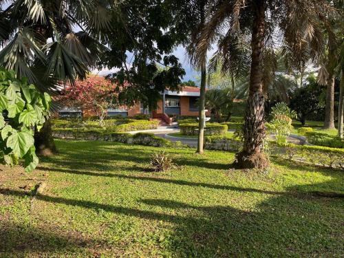 a park with palm trees and a house in the background at finca el eden ginebra valle in Ginebra