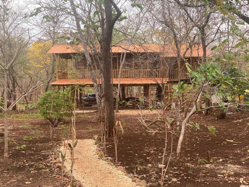 a house in the middle of a forest at Finca Avellanas in Playa Avellana