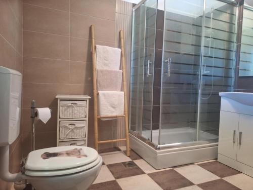 a bathroom with a toilet and a glass shower at Villa Malini in Grožnjan
