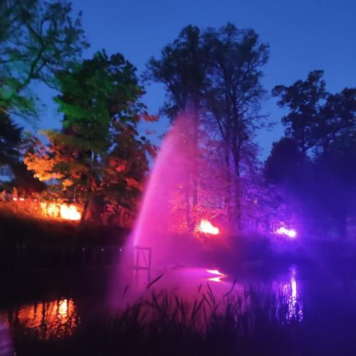 a fountain in the middle of a pond at night at Gästehaus Familie Rinke in Bad Harzburg