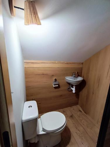 a bathroom with a toilet and a sink at Pokoje u Daniela in Miedzygorze