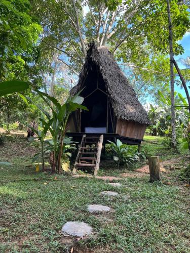 a small hut with a grass roof in a field at Amazon jungle cabin - satorinatural in Puerto Nariño