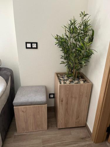 a plant in a wooden box next to a stool at Casa do Beco in Aldeia de João Pires