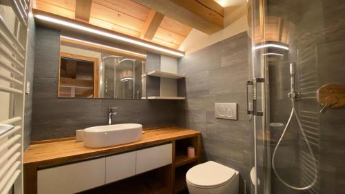 une salle de bain avec un lavabo, des toilettes et une douche dans l'établissement Résidence Loup Dore - Appartement prestige - Plein sud - 90m² - Face aux pistes - 9 Pers. MAE-0243, à Montgenèvre