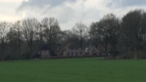 a house in a field with trees in the background at Boerderij de Borgh in Westerbork