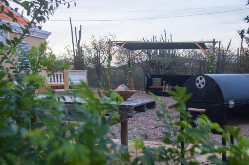 a picnic table and a grill in a garden at Kunukuhuis Hofi Abundansia in Willemstad