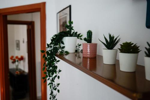 Laura's Home photo 26