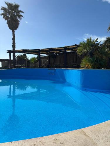 a blue swimming pool with a palm tree in the background at Golden Home in Anzio