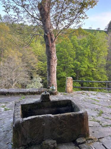 Φυσικό τοπίο κοντά σε αυτό το σαλέ