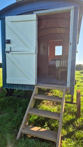 a outhouse with a ladder in the grass at Coast path camping in Saint Ishmaels
