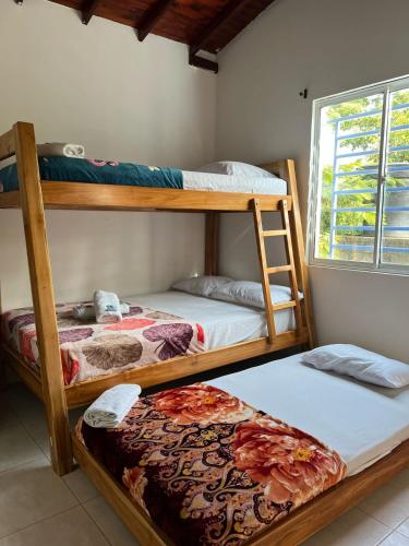 two bunk beds in a room with a window at HOSTAL LAS FLORES in Capurganá