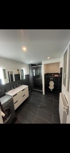 une salle de bain avec un lavabo et des toilettes dans l'établissement Appartement cosy et sublime, à Lyon