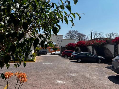a group of cars parked in a parking lot at Hotel Quinta Rivera in Actopan