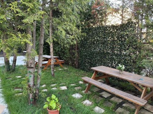 Κήπος έξω από το Serenity Apartments and Studios