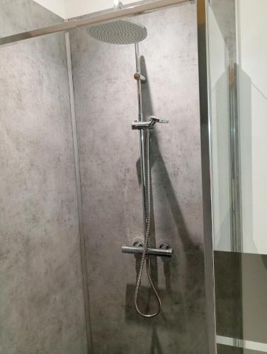 une douche avec pommeau de douche dans une salle de bain dans l'établissement F3 cozy & confortable chez Alex et Flo, à Salles-Curan