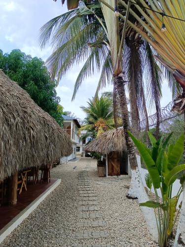 Κήπος έξω από το Hotel Punta Piedra