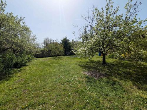 Zahrada ubytování Apartment in Fonyod - Balaton 54325