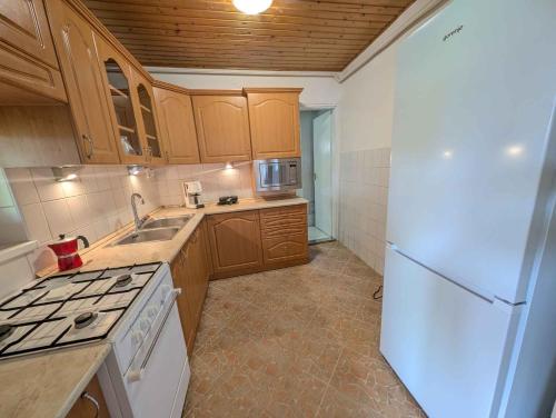 Kuchyň nebo kuchyňský kout v ubytování Apartment in Fonyod - Balaton 54325