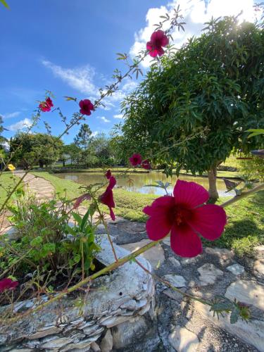 a woman walking in a park with a red flower at Pousada Serra Morena in Serra do Cipo