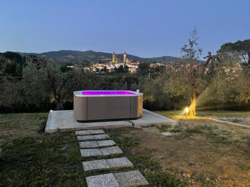 a bath tub with a purplevisor sitting in a field at Alloggio incantevole con piscina in Vinci