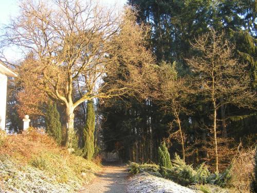 a dirt road with trees on the side of a house at Nature Escape in Bohon in Barvaux