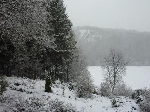a snow covered forest with a lake and trees at Peaceful Nature Stay in Bohon in Barvaux