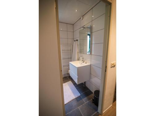 un baño con lavabo y espejo en Forest Villa in Markelo with Sunny Garden, en Markelo