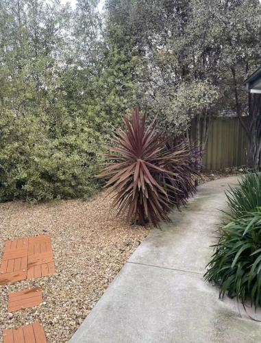 a garden with a palm tree and a sidewalk at Cosy Getaway for 2 in Lindisfarne