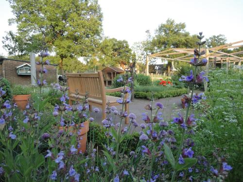 a garden with purple flowers and a wooden bench at B&B De Willemshoeve in Wageningen