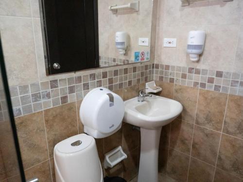 a bathroom with a sink and a toilet and a mirror at Hotel Andinos Plaza Pitalito in Pitalito