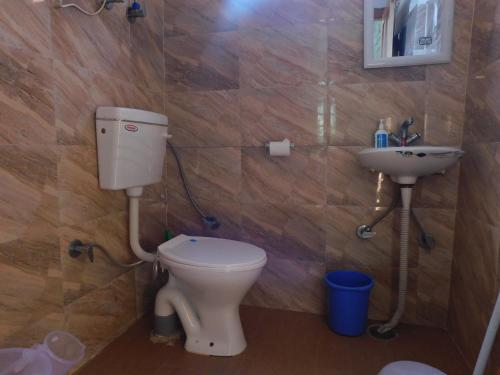 a bathroom with a toilet and a sink at The Sigiriya Old manali in Manāli