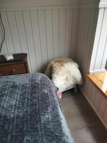 a corner of a room with a dog bed at Departamento en Pucón in Pucón