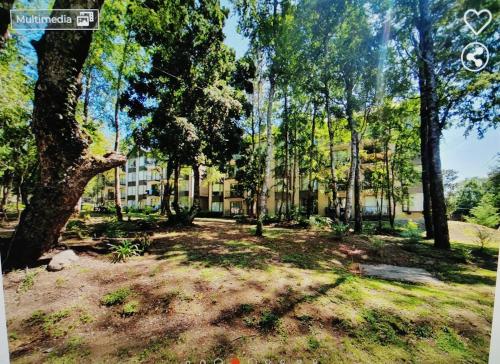 a park with trees and a building in the background at Departamento en Pucón in Pucón