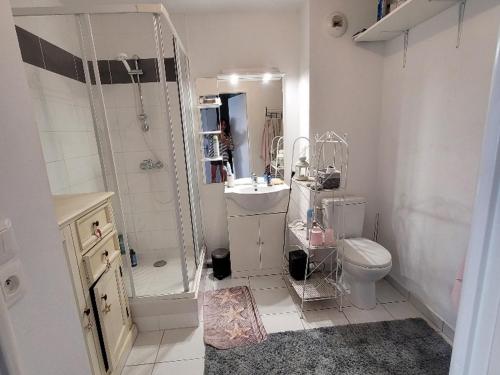 une salle de bain avec une douche, des toilettes et un lavabo dans l'établissement Appartement à 50m de la plage avec parking et Wi-Fi - FR-1-482-155, à Fort-Mahon-Plage