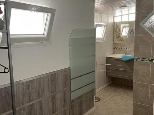 une salle de bain avec une douche et un lavabo et une fenêtre dans l'établissement Appartement charmant 4 pers avec accès privé au lac - FR-1-822-19, à Esparron-de-Verdon