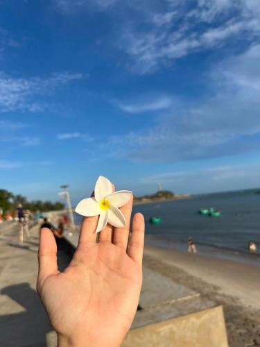 a person holding a flower in their hand at the beach at Lê Huỳnh Guest House Family in Ke Ga