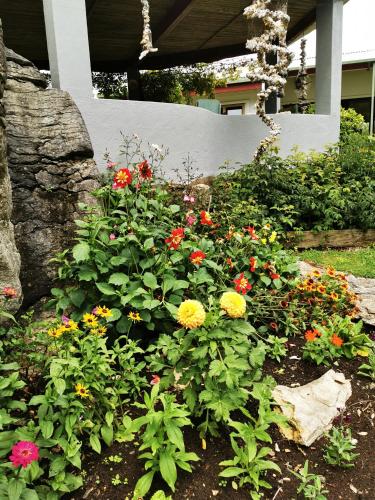 a garden of flowers in front of a house at Karstaway Haven in Takaka