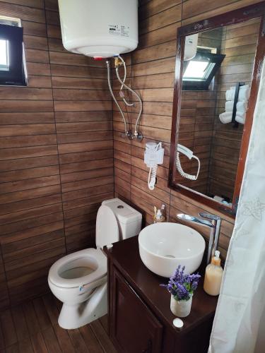 a bathroom with a toilet and a sink and a mirror at Hidden Valley Cabin in Risan