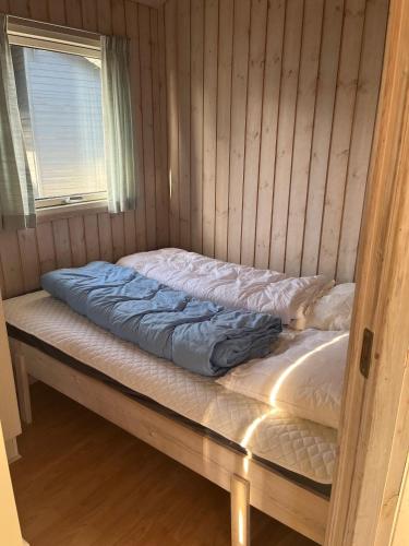 a bed in a wooden room with a window at Storebælt camping in Korsør