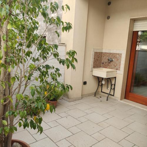 a bathroom with a sink and a plant at CaSaM in Maruggio