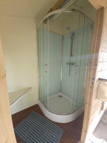 a glass shower in a bathroom with a rug at Trekkershut - De Hollandse Boerderij in Ons Belang