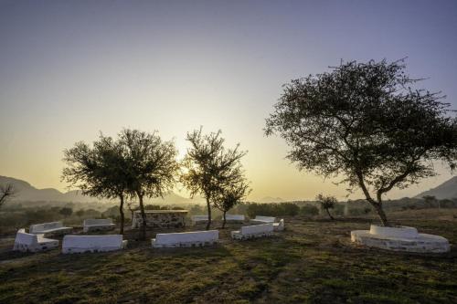 a group of white benches in a field with trees at Maya Luxury The Quila Udaipur in Udaipur